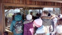 IMG_20181205_111238.jpg