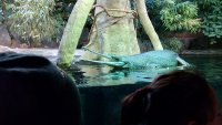 IMG_20181205_112827.jpg