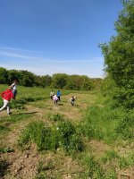 IMG_20210601_093721.jpg