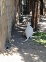 IMG_20210617_121405.jpg
