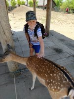 IMG_20210617_124529.jpg