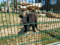 IMG_20210617_125226.jpg