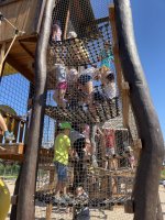 IMG_1242.JPG