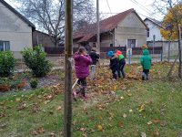 IMG_20211112_134426_1.jpg