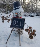 Foto5.jpg