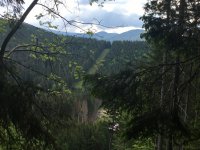 IMG_8414.JPG