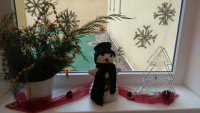 IMG_20191126_150304.jpg