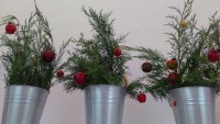 IMG_20191126_150321.jpg