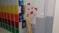 IMG_20191126_150359.jpg