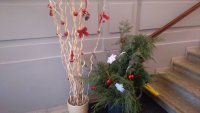IMG_20191129_154808.jpg