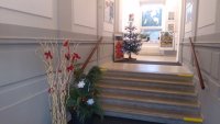 IMG_20191129_154847.jpg