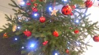 IMG_20191129_155030.jpg