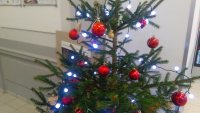IMG_20191129_155033.jpg