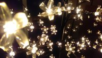 IMG_20191129_163346.jpg