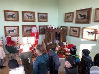 IMG_2263.jpeg