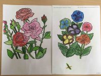 IMG_0657.jpg