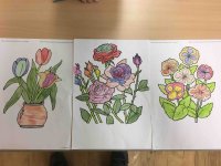 IMG_0659.jpg