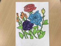 IMG_0664.jpg