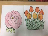 IMG_0668.jpg
