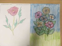 IMG_0669.jpg