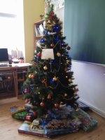 IMG_20211217_123321.jpg