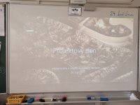 IMG_20230525_082104.jpg