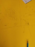 IMG_20230525_104805.jpg