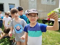 IMG_20230601_134413946.jpg