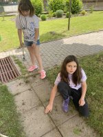 IMG_1784.jpg