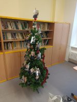IMG20231201084619.jpg