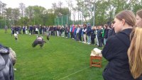 20240418_100624.jpg