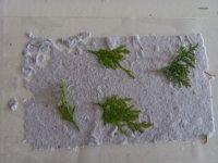 20240607_124754.jpg