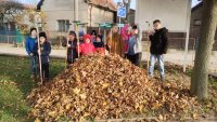 IMG-20241128-WA0007.jpg