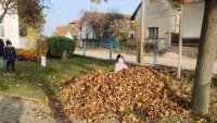IMG-20241128-WA0008.jpg