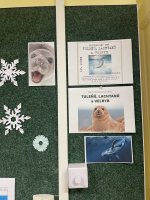 IMG_1388.jpeg