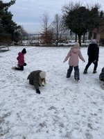 IMG_1382.jpeg