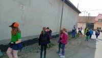 20250414_104314.jpeg