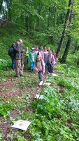 20250526_094937.jpeg