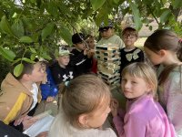 IMG_8629.JPG