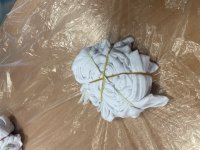 IMG_7375.jpeg