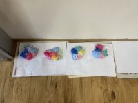 IMG_7381.jpeg