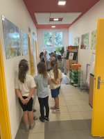 IMG_5720.jpeg