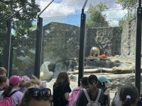 IMG_1608.JPG