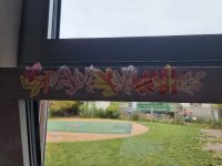 20251015_131909 (1).jpg