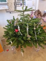 Obrázek WhatsApp, 2025-12-15 v 21.51.35_a9bab391.jpg