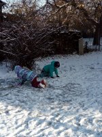 IMG_20171218_095926.jpg