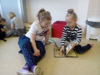 IMG_20180131_103039.jpg