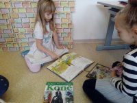 IMG_20180131_103755.jpg