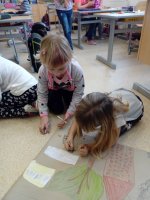 IMG_20180306_112820.jpg