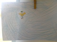 IMG_20180329_172624.jpg